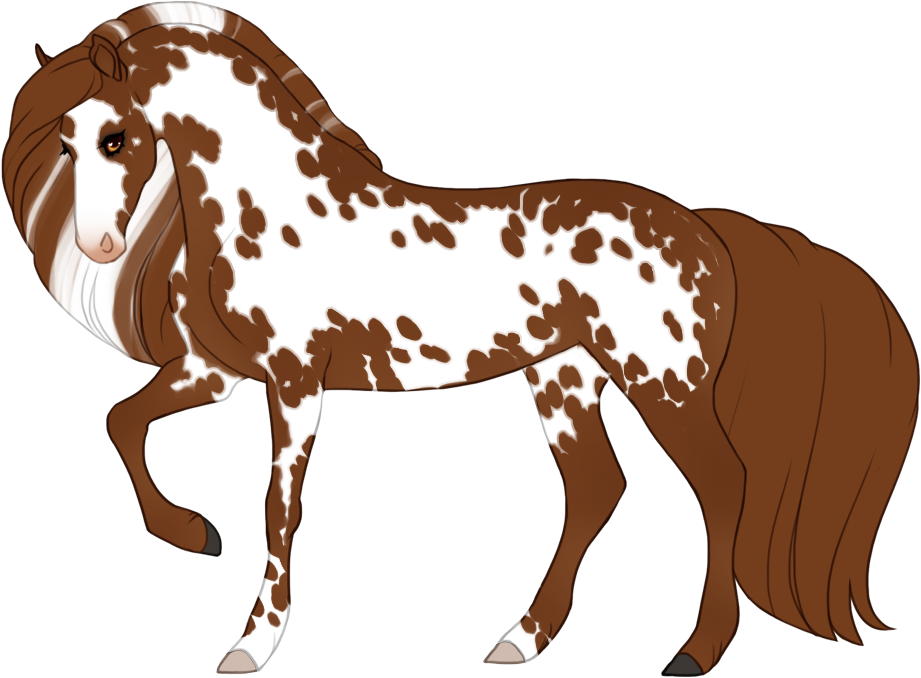 Variegated overo on chestnut