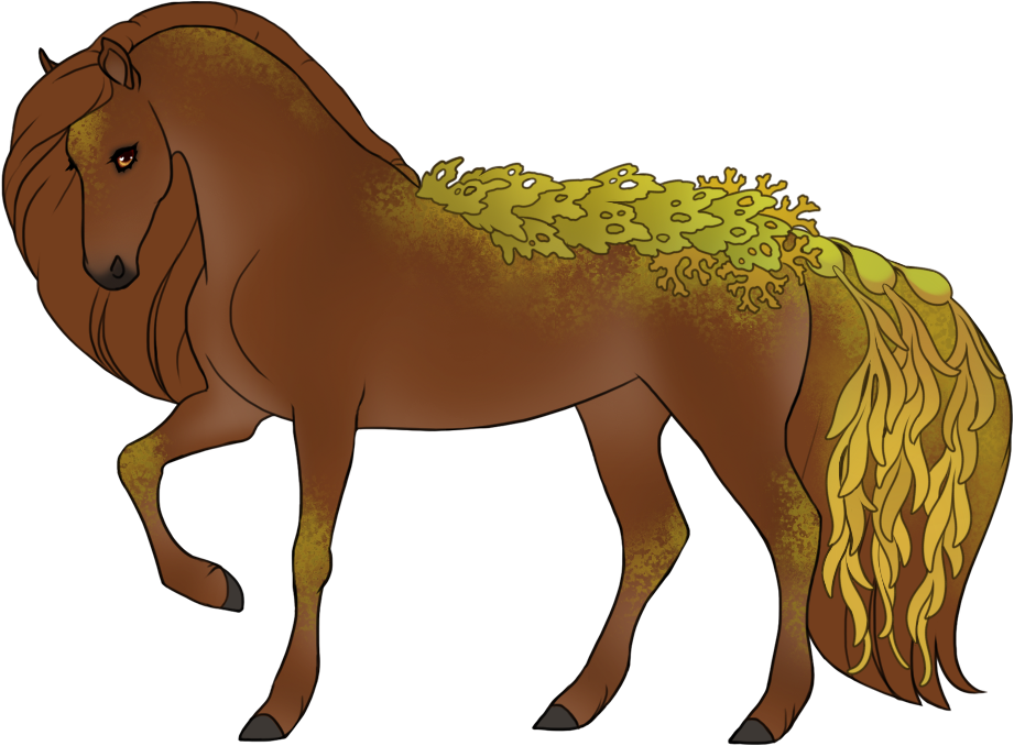 Kelp and algae