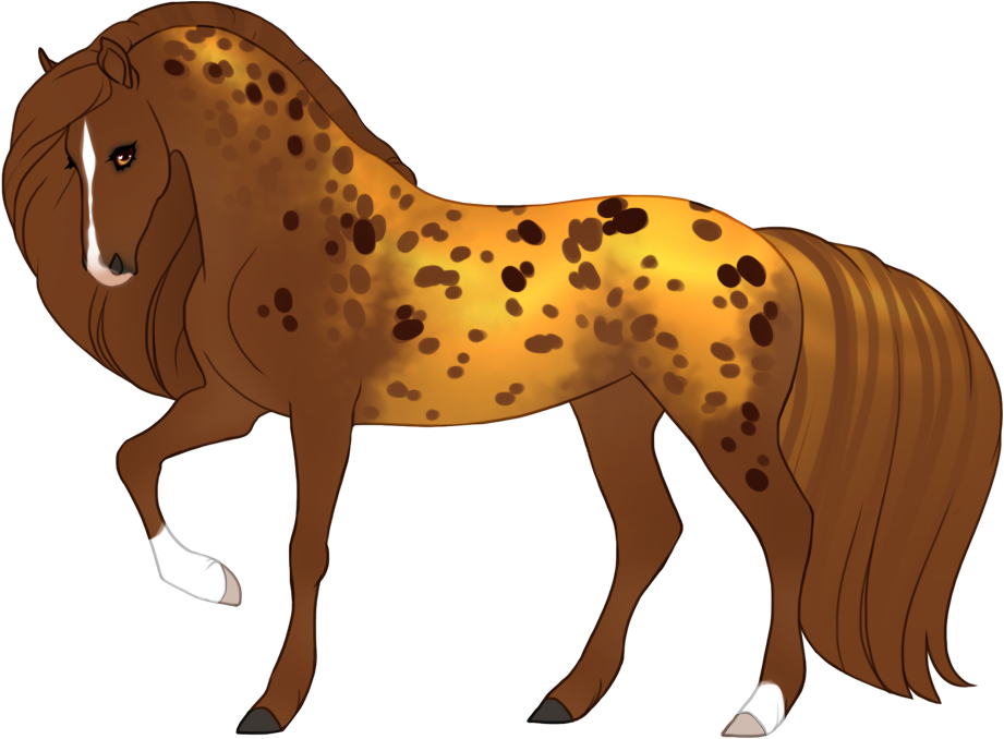 Opulent leopard appaloosa with unaffected white markings