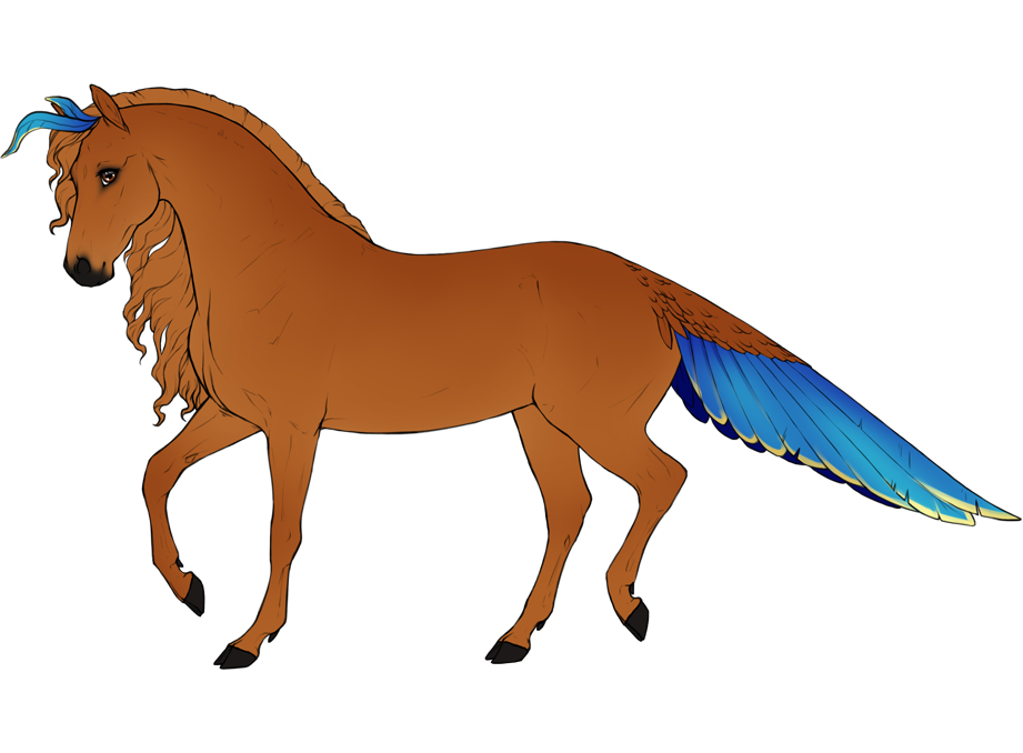 Alcyone bloodline with plumage affecting tail color