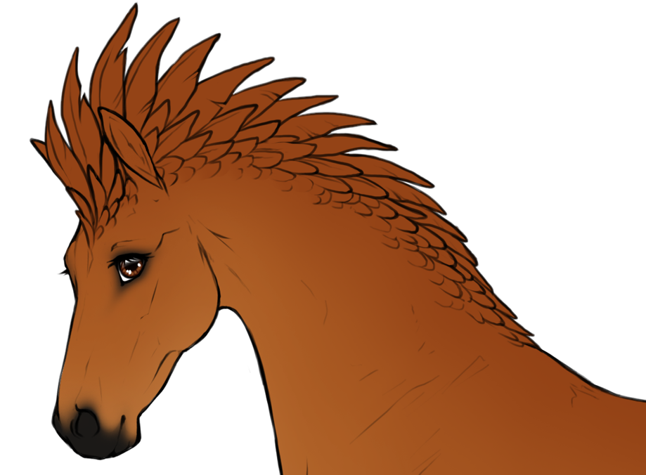 Crested plumage neck