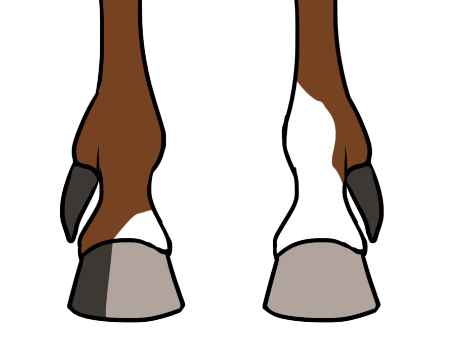 Chestnut with polydactyly (outer)