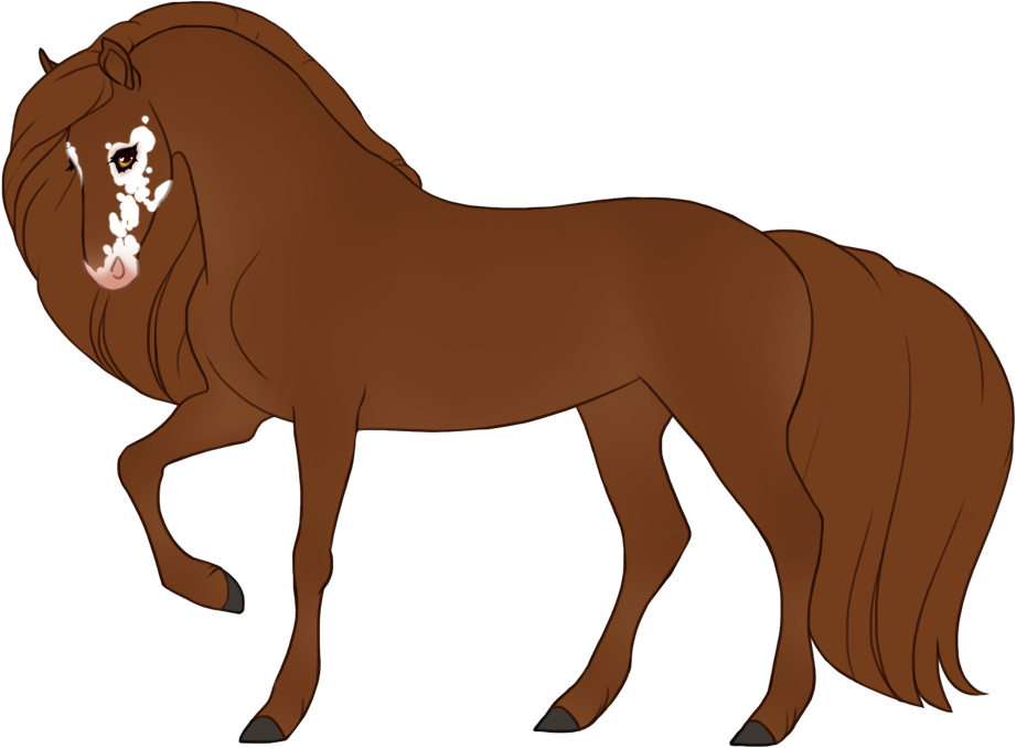 Chestnut with vitiligo