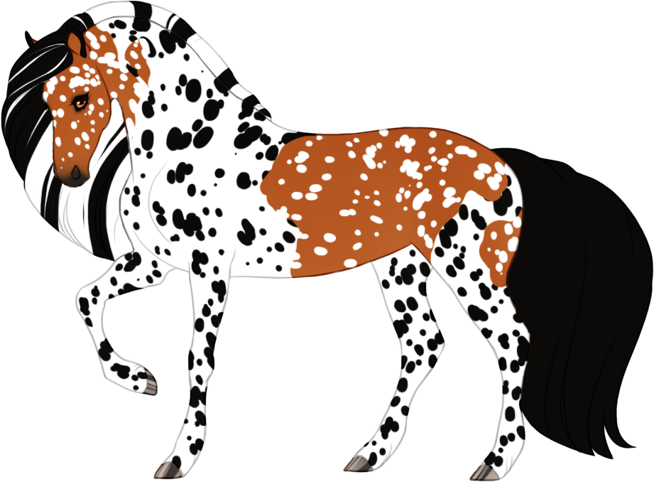 Bay mosaic leopard appaloosa