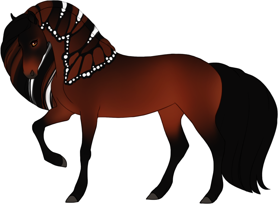 Seal bay papilio affecting mane/tail