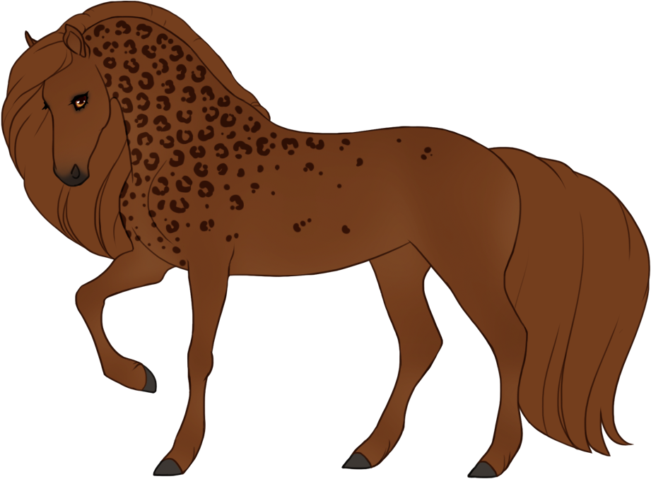 Chestnut partial pard with plain spots