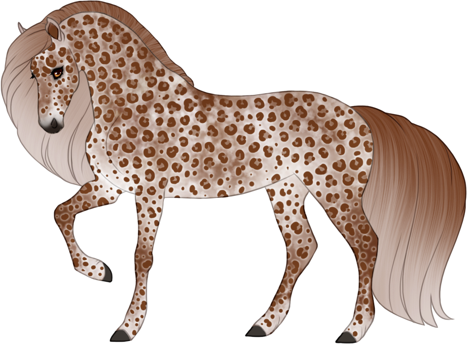 Grey pard