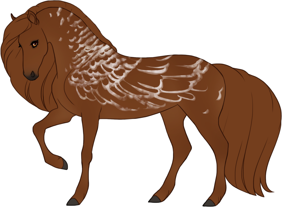 Grey quill