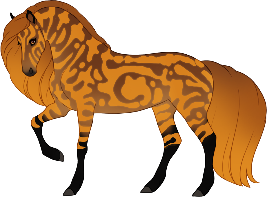 Bronze tabby