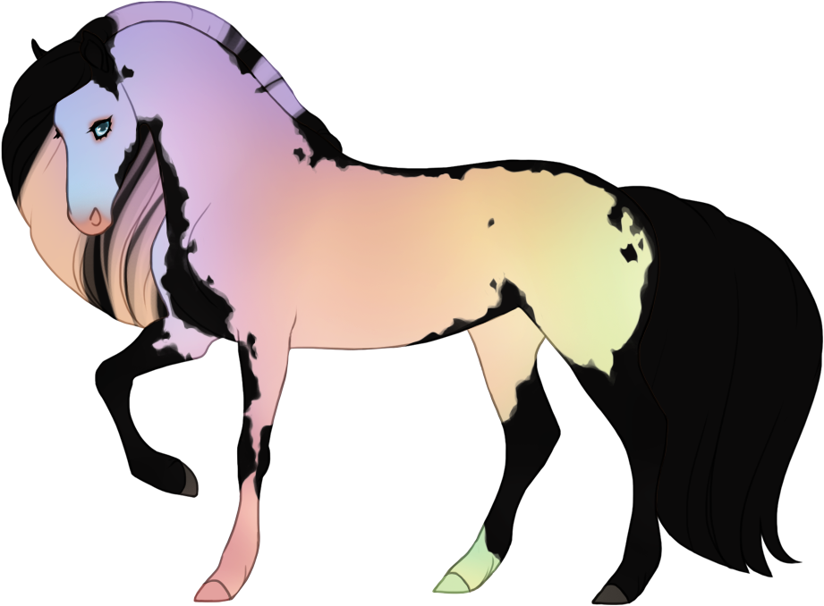 Prismatic shimmer affecting overo markings, on unaffected black base