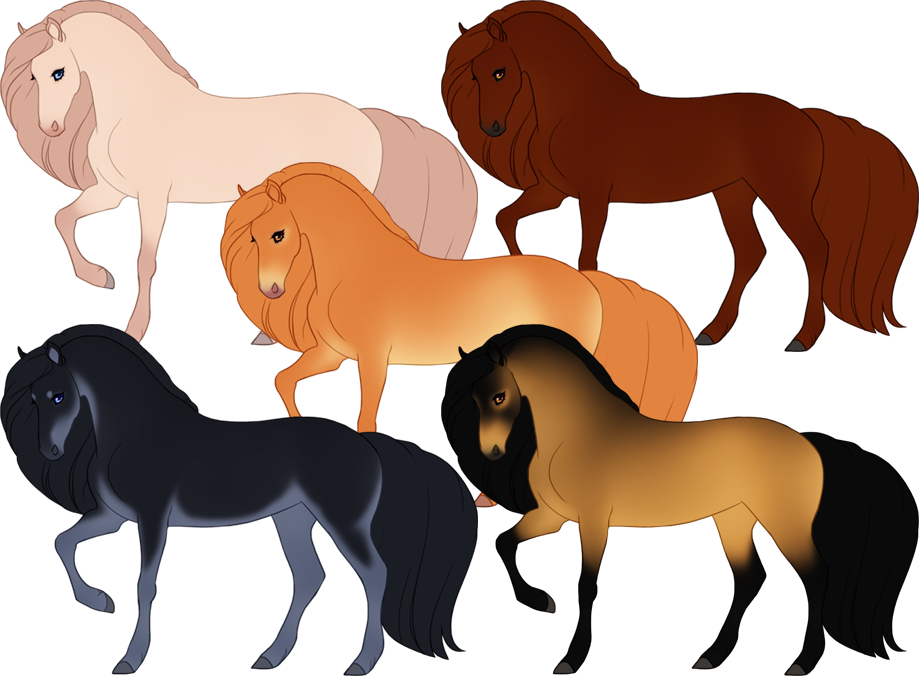 coat colours preview