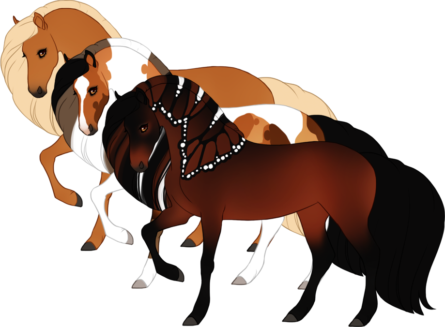 Preview image for colors and markings guide