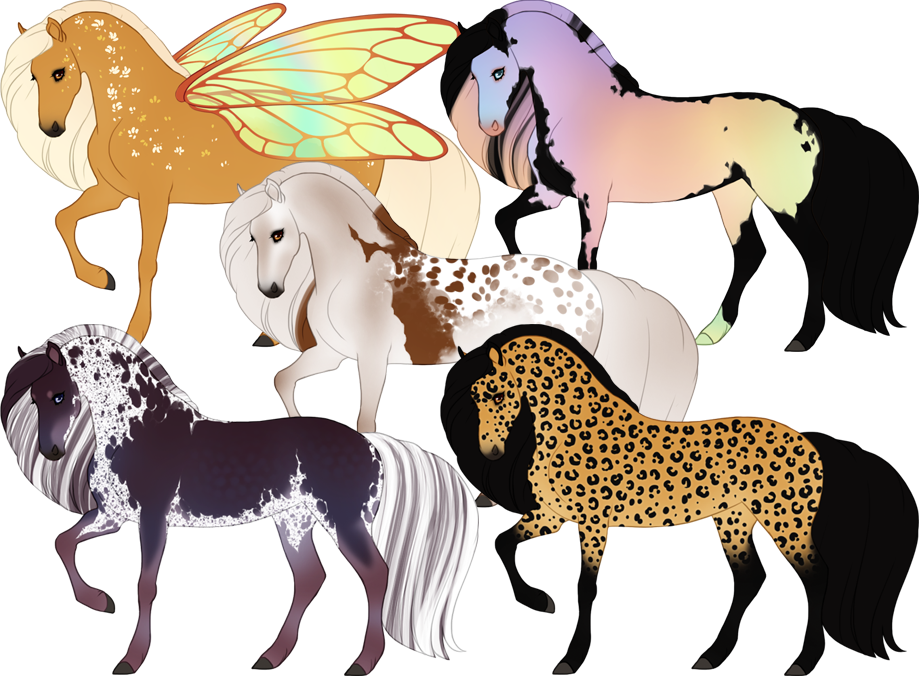 coat colours preview