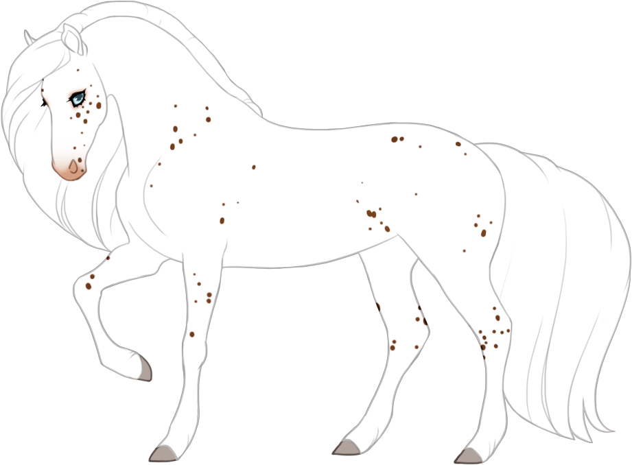 Fewspot appaloosa with maximal spotting