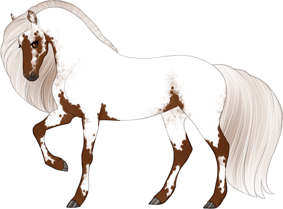 Near-fewspot appaloosa
