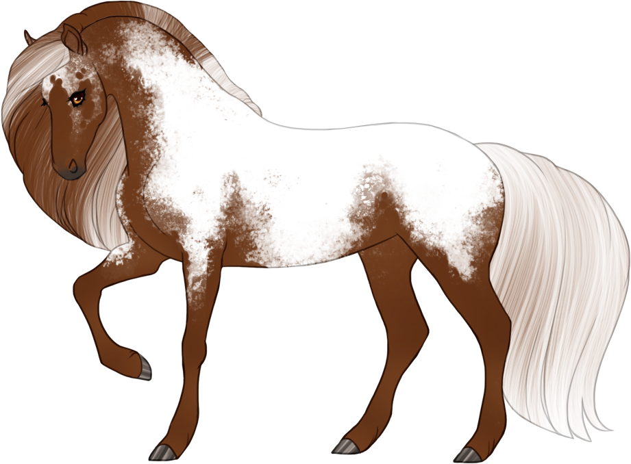 Semi-fewspot appaloosa