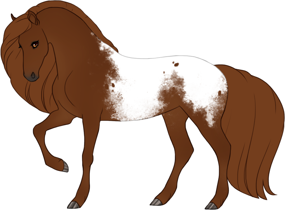 Maximal snowcap fewspot appaloosa
