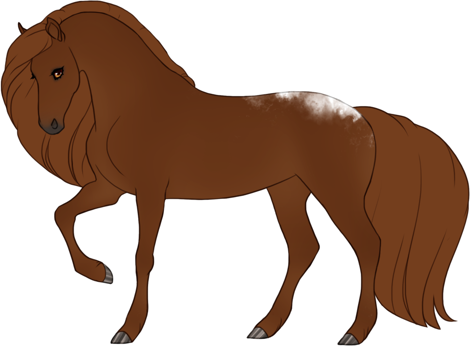 Minimal snowcap fewspot appaloosa