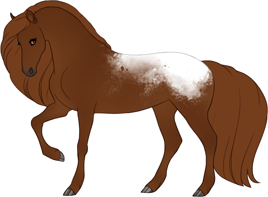 Snowcap fewspot appaloosa