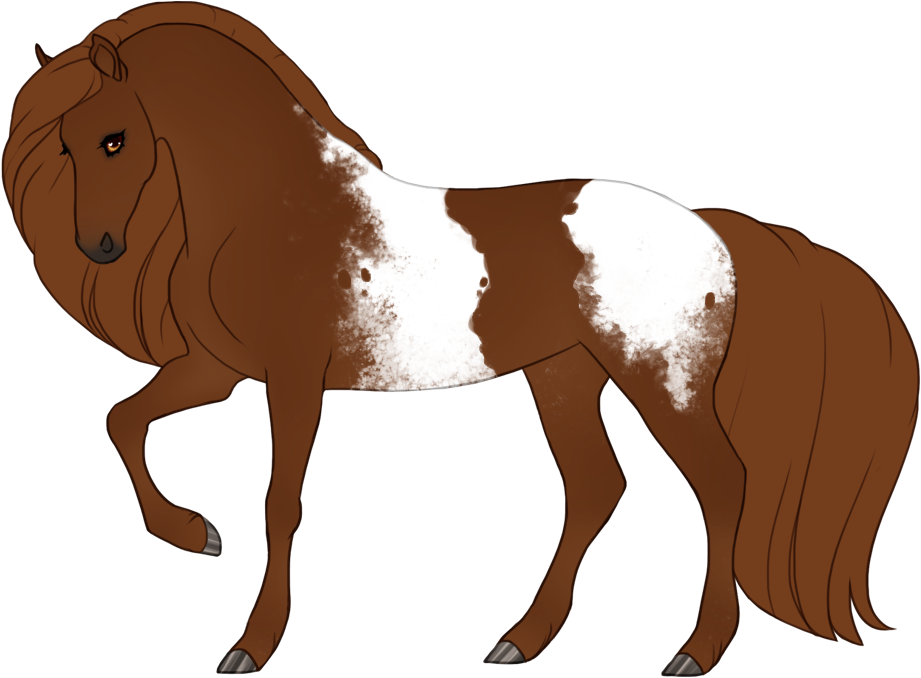 Mismarked snowcap fewspot appaloosa