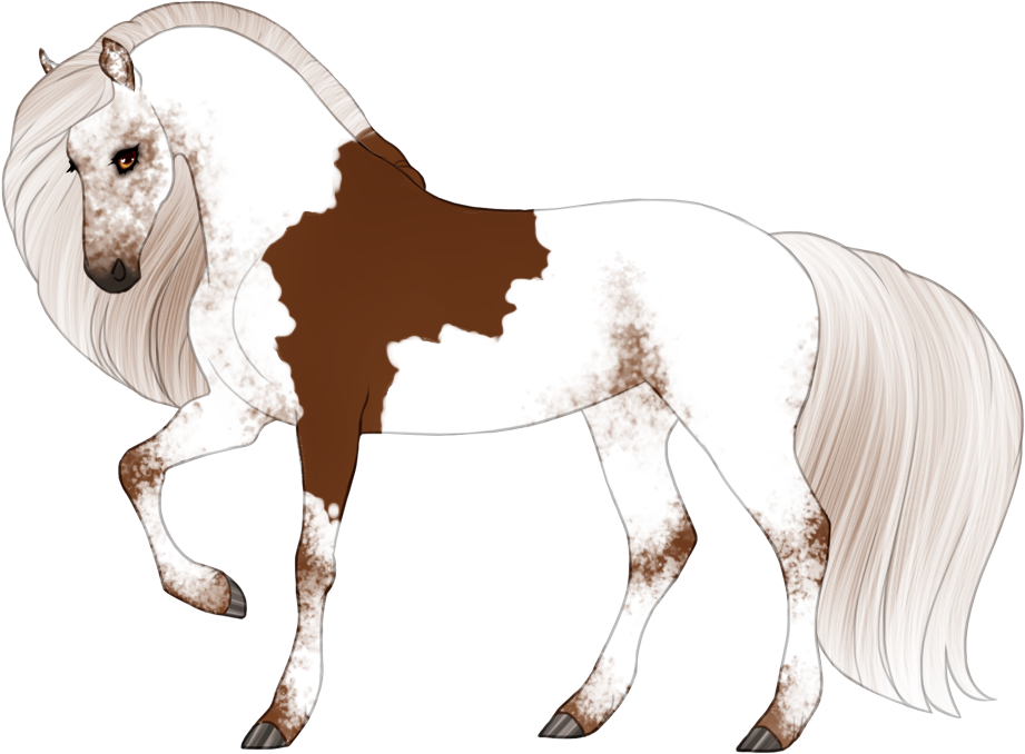 Mismarked fewspot appaloosa