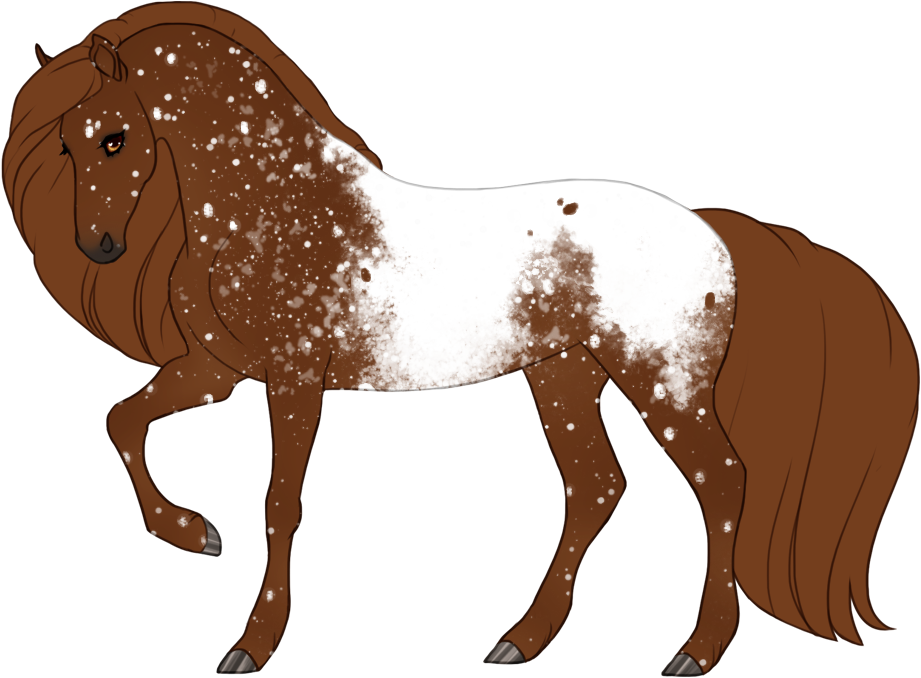 Snowflake blanket fewspot appaloosa