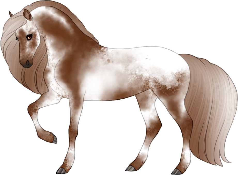 Varnished snowcap fewspot appaloosa