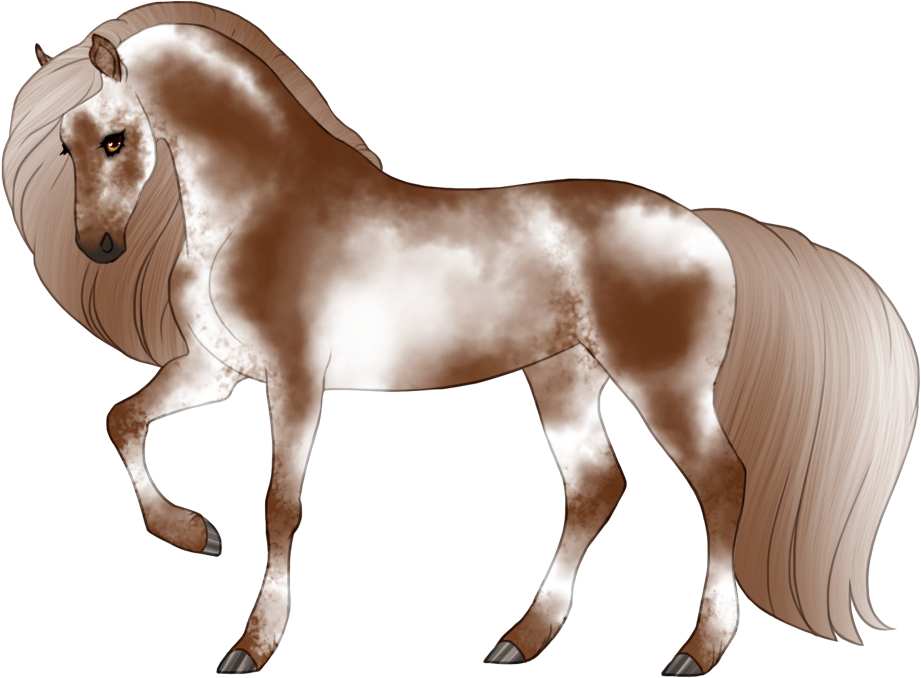 Varnished fewspot appaloosa