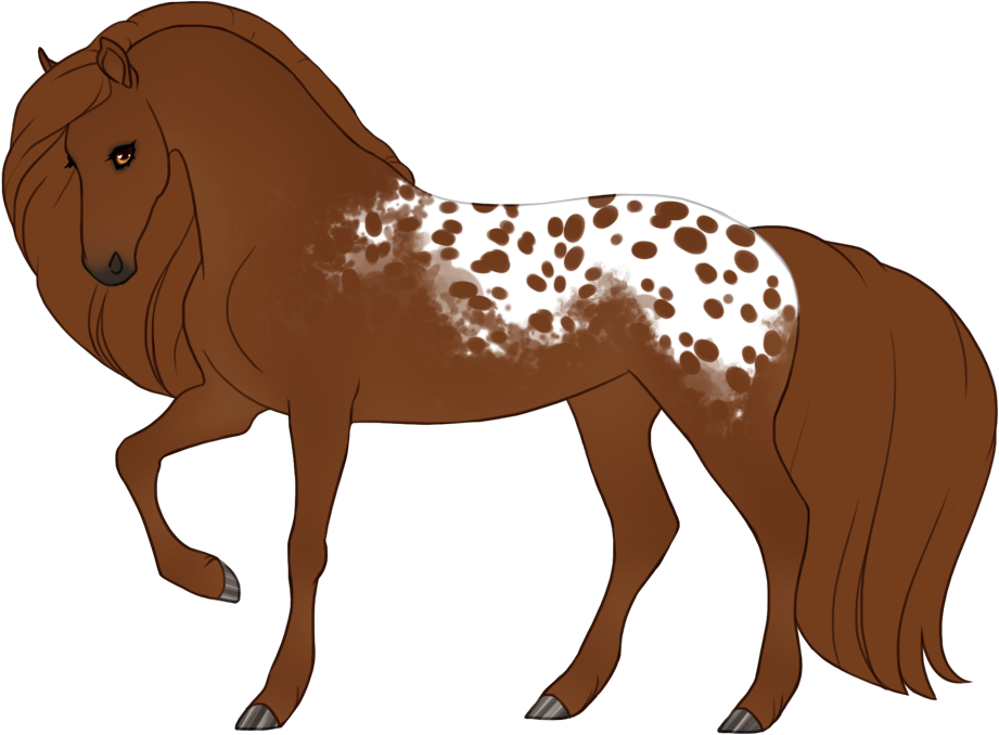 Blanket leopard appaloosa
