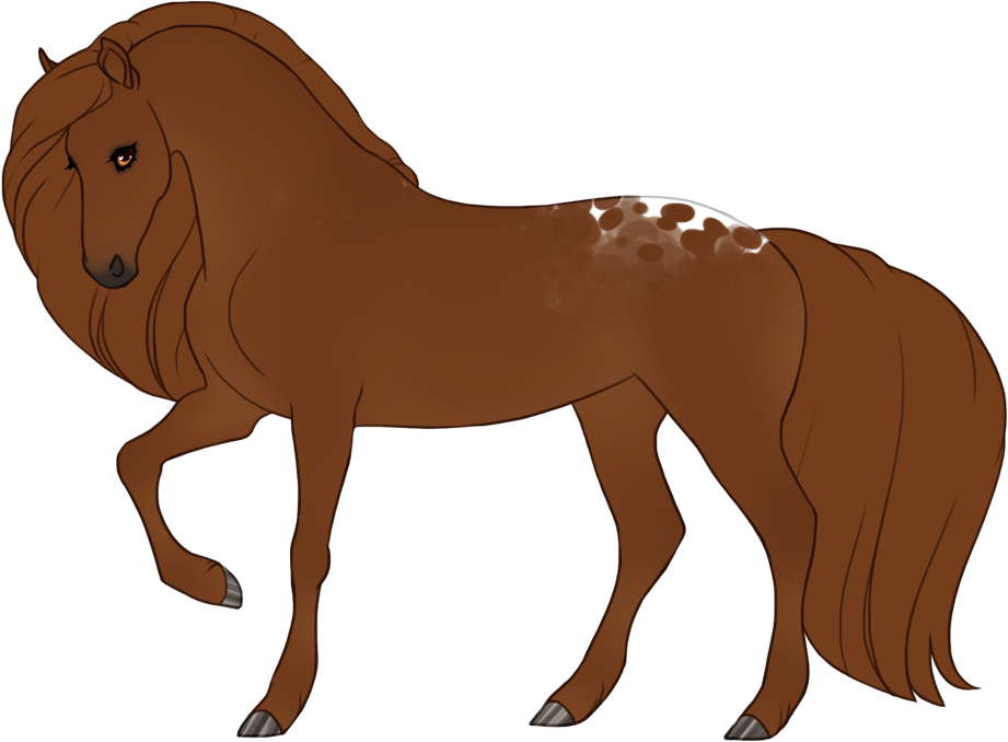 Minimal leopard appaloosa
