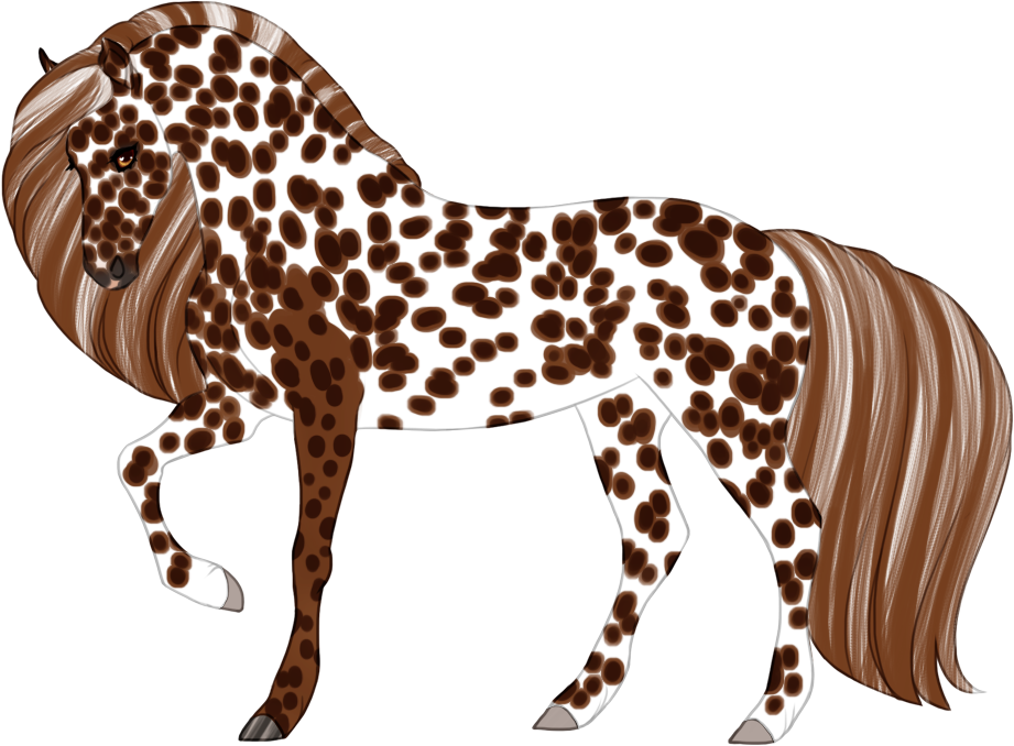 Mismarked leopard appaloosa with dark spots
