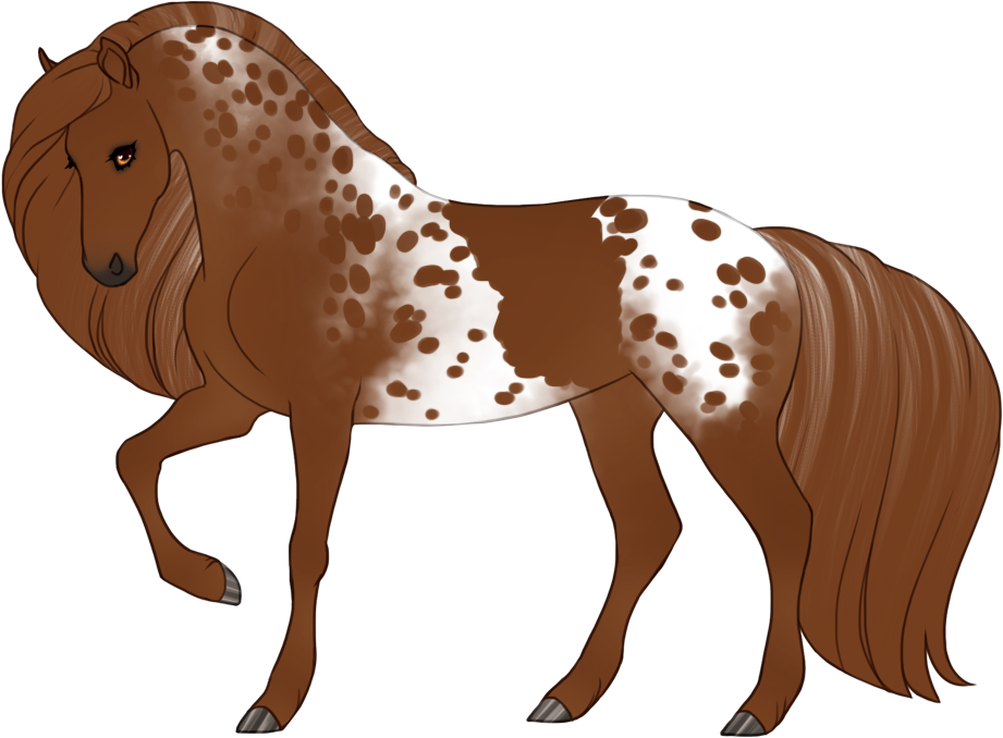 Mismarked semi-leopard appaloosa