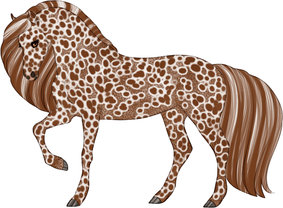 Peacock leopard appaloosa