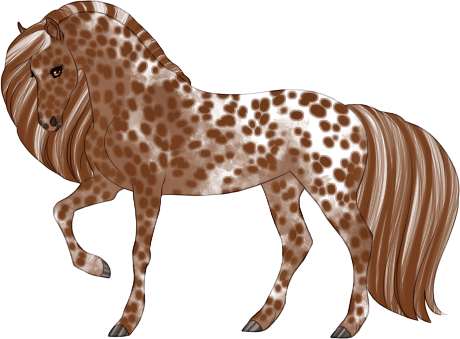 Near-leopard appaloosa