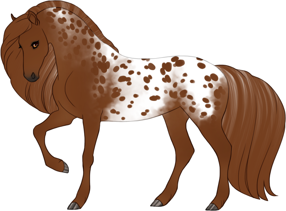 Semi-leopard appaloosa