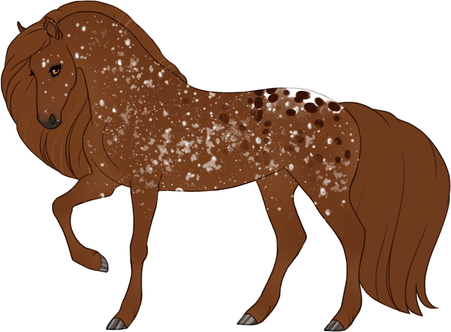 Snowflake minimal blanket leopard appaloosa with dark spots