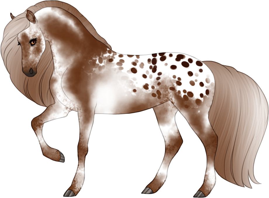 Varnished blanket leopard appaloosa with dark spots
