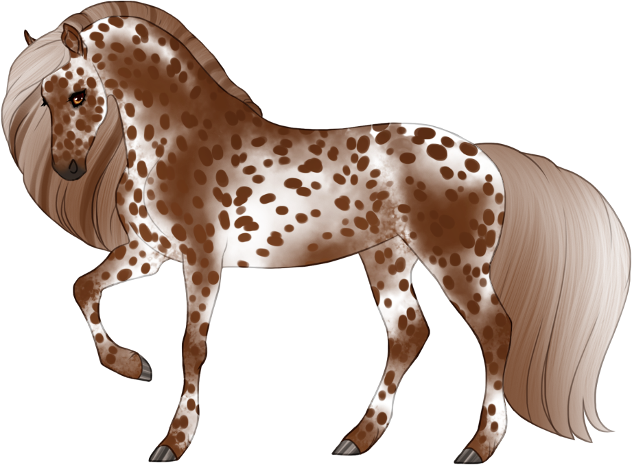 Varnished leopard appaloosa