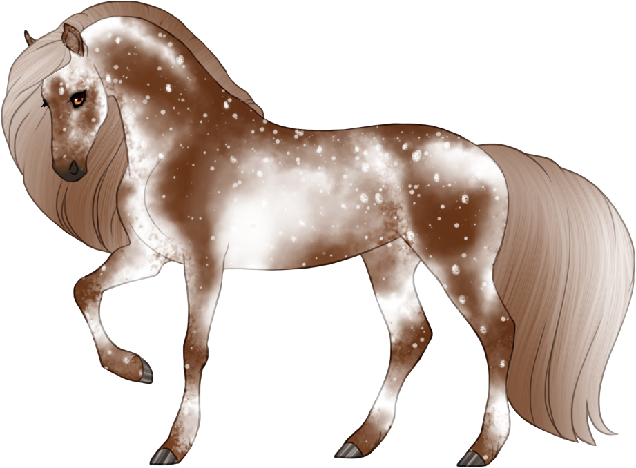 Varnished snowflake fewspot appaloosa