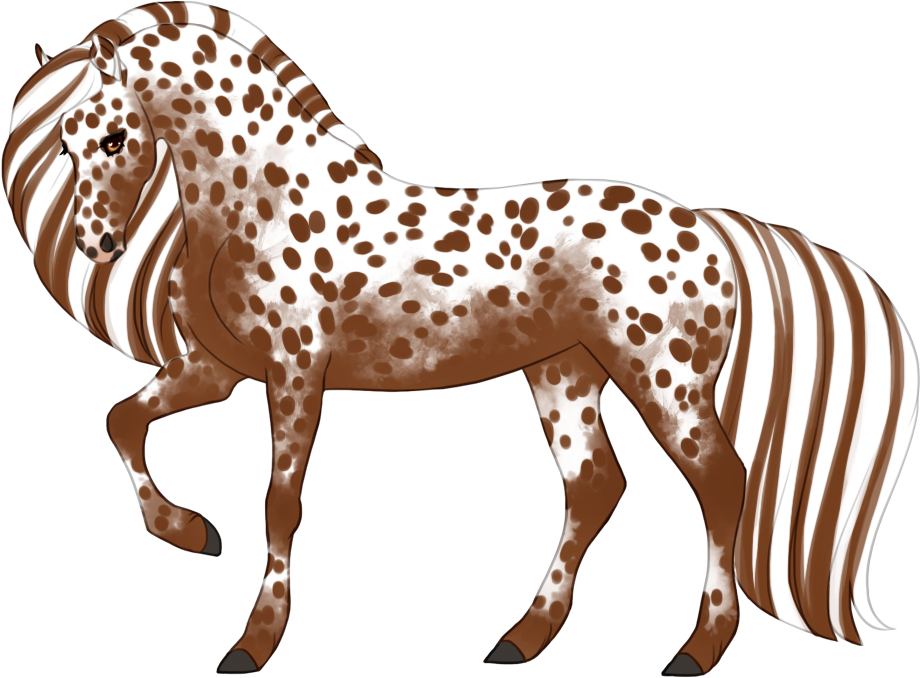 Near-leopard appaloosa