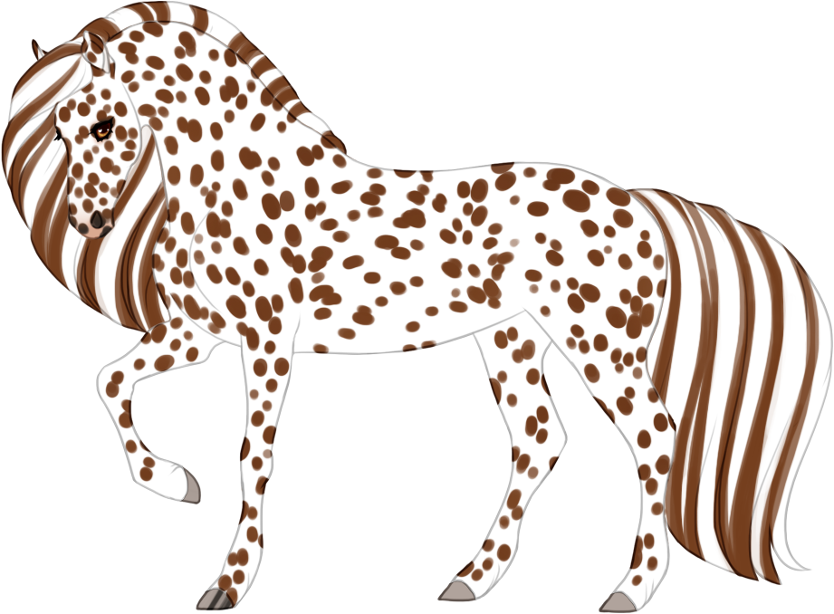 leopard-appaloosa