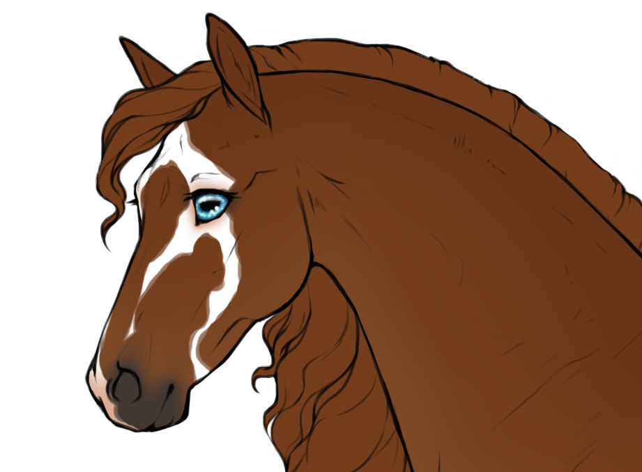 Asymmetrical badger face