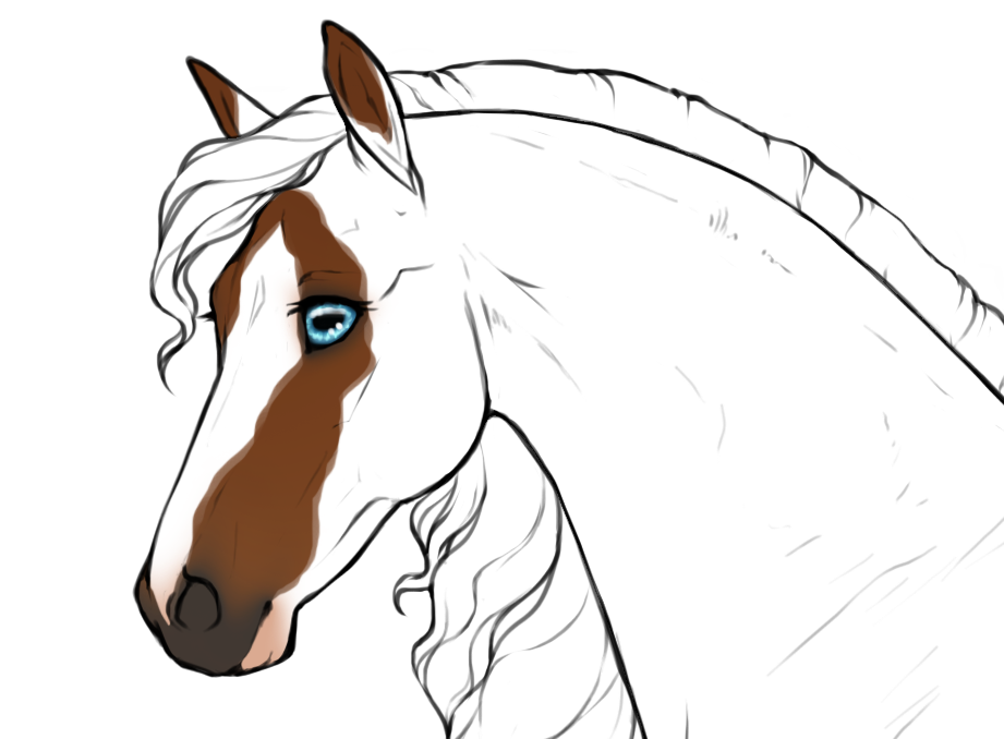 Reversed badger face