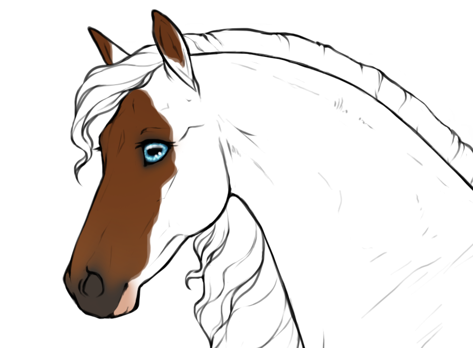 Occluded blaze badger face