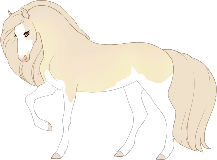 Pseudo-albino dominant white on seal bay splash