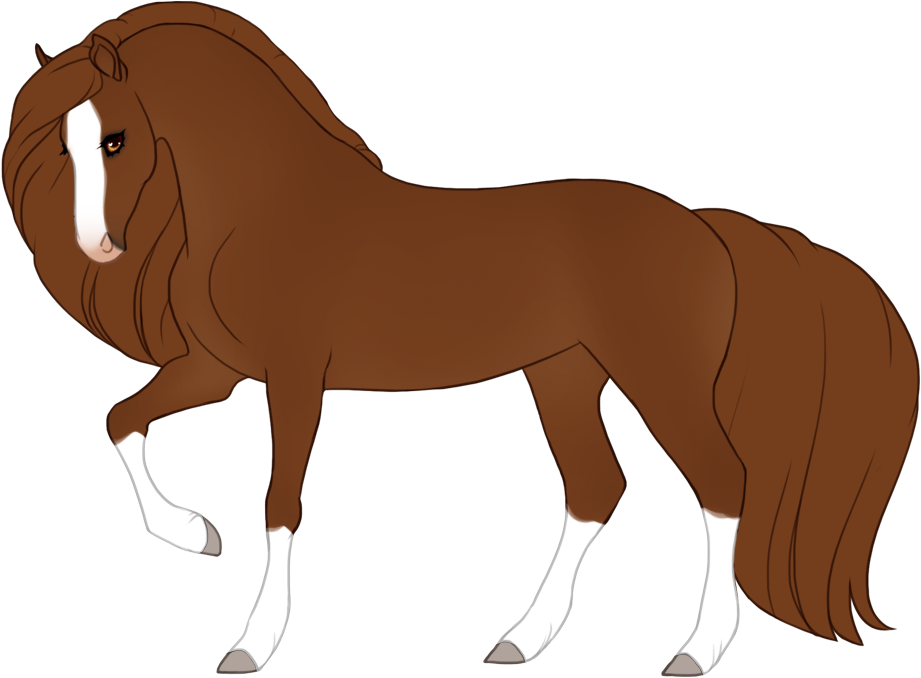 Maximal natural white on chestnut