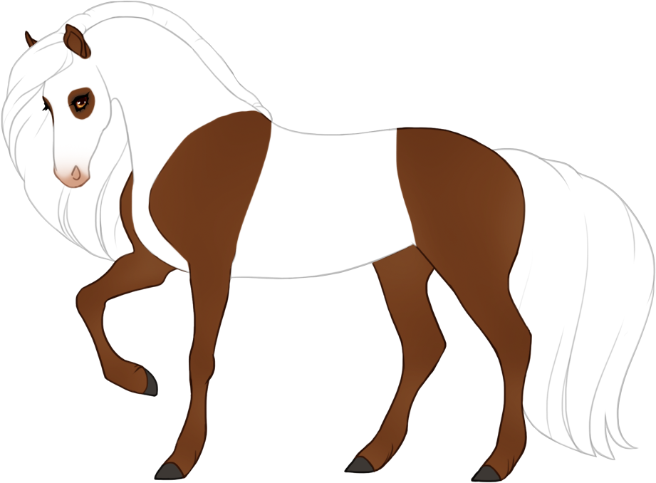 Maximal panda (neck marking extending toward withers to fully whiten mane) with white tail