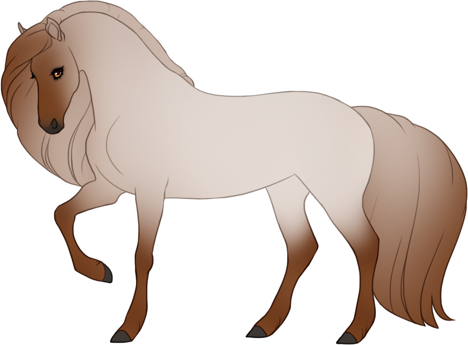 Roan affecting mane and tail