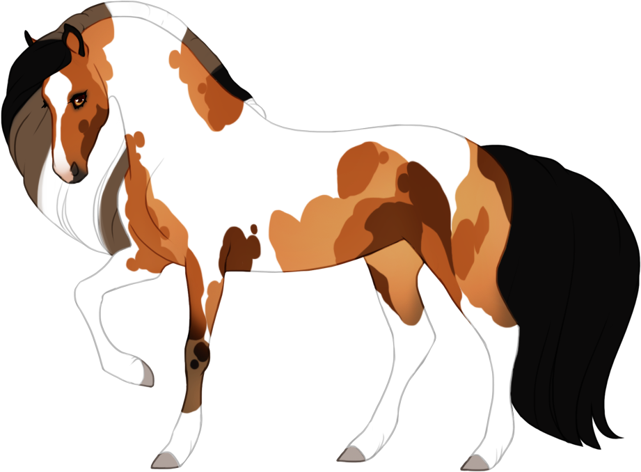 Calico tobiano with both lighter and darker patches