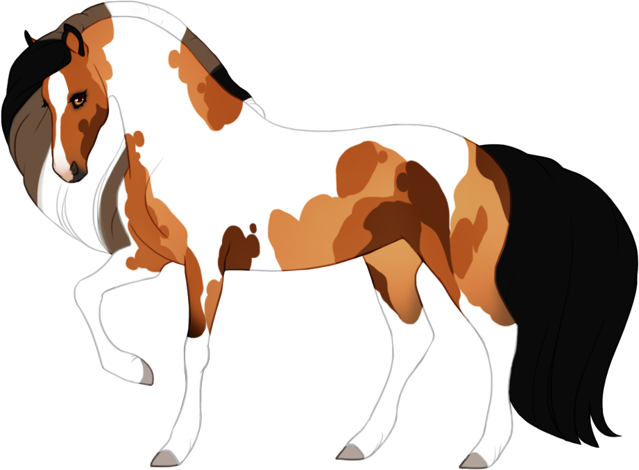 Calico tobiano with both lighter and darker patches